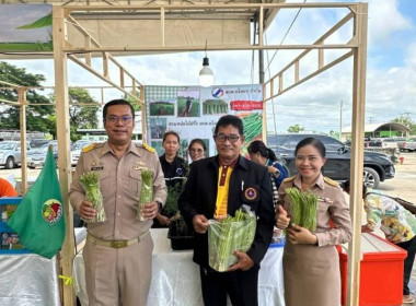 สำนักงานสหกรณ์จังหวัดยโสธร ร่วมพิธีเปิดงานธงเขียว ... Image 3